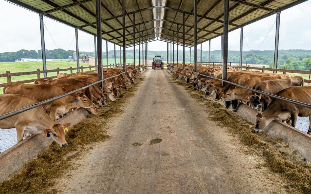 Diffúz légszennyező forrás